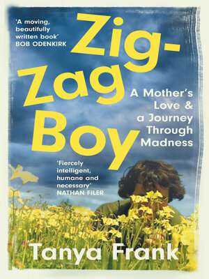 cover image of Zig-Zag Boy